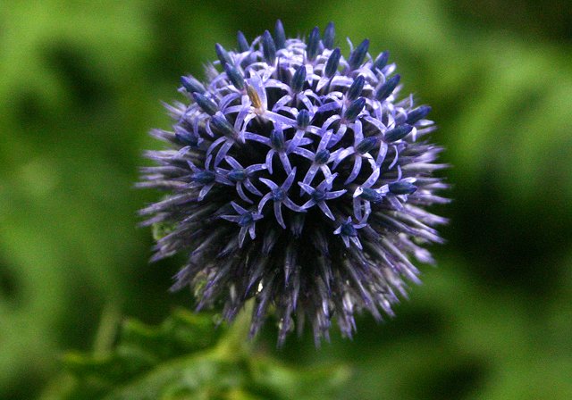 photo 0119.jpg